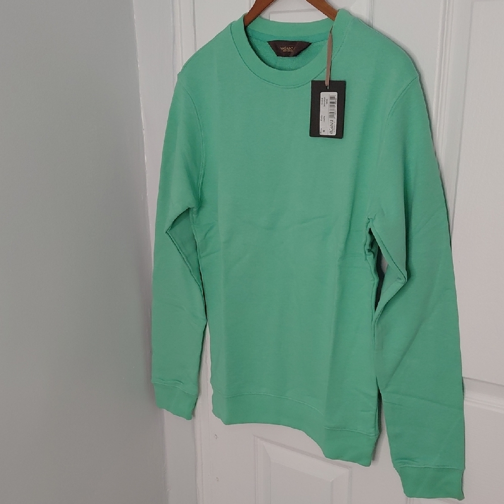 Men's Crewneck Sweater in Mint Green